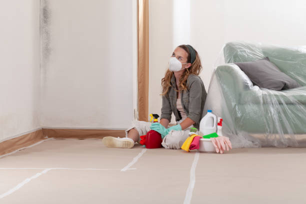 Reliable Mold Remediation contractor in Galesville, MD by WQB Mold Removal